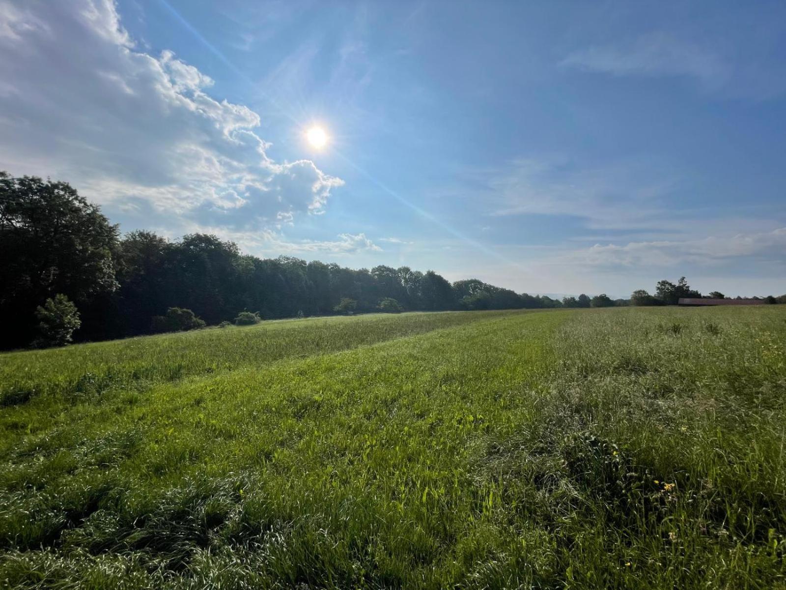 Tinyhaus #4 Huelben - Ortsrand - Kostenlose Parkplaetze Hulben Bagian luar foto